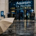 Aquarium La Rochelle quand il pleut, visiteurs sous la pluie