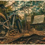 Randonnée VTT Île-de-France en forêt : chemin, distances et départ